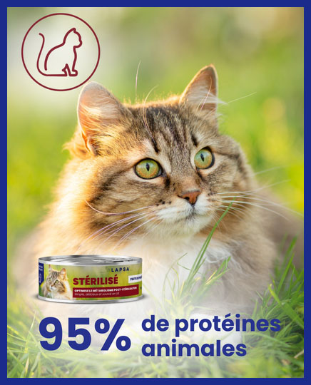Chat à poil long avec mousse Lapsa au poulet : 95% de protéines animales pour chat stérilisé.