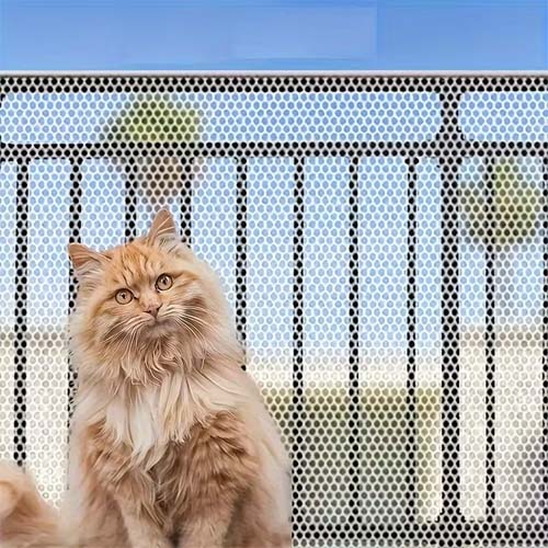Chat roux adulte à poils longs devant un filet de protection blanc pour balcon installé sur une rambarde noire.